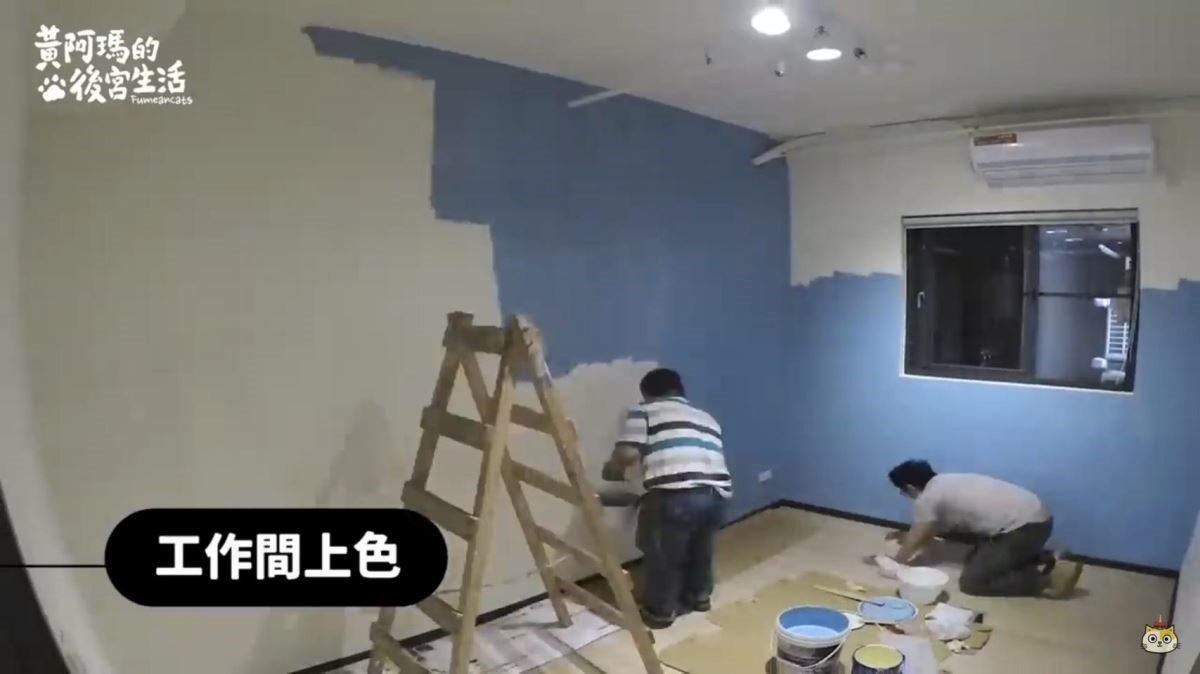 網路人氣貓咪黃阿瑪與6隻貓咪(三腳、嚕嚕、招弟、Socl