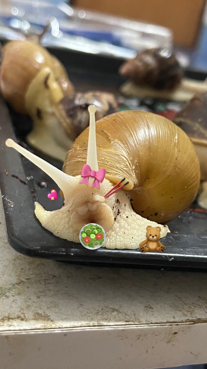 หอยทากบ้านมะเดือก 🐌💖