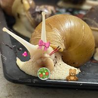 หอยทากบ้านมะเดือก 🐌💖