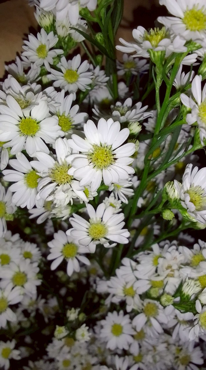 ˚₊‧࣪.ƒeᩚყദ୨✩‧₊