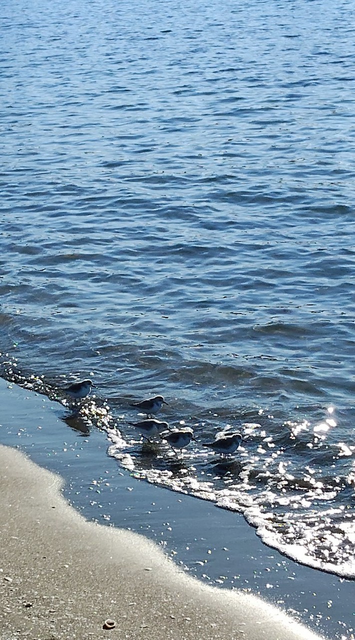 相談話したい人~！