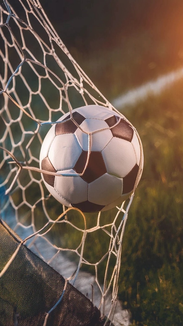 🏆世足賽精準分析討論群⚽️
