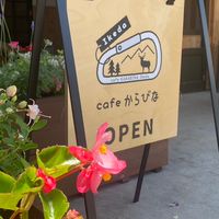 からびなアレコレ