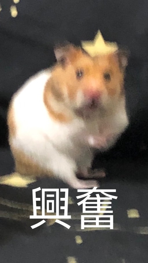 一代小鼠