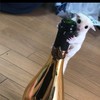 歌うまオールジャンル7月20日公式19時から22時