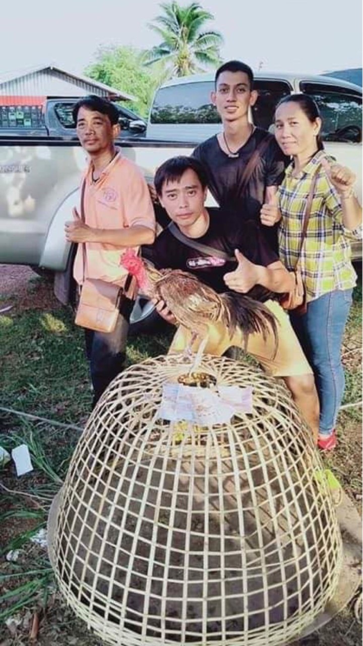 ซุ้ม ส.ลำไส้ใหญ่