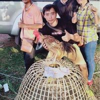 ซุ้ม ส.ลำไส้ใหญ่