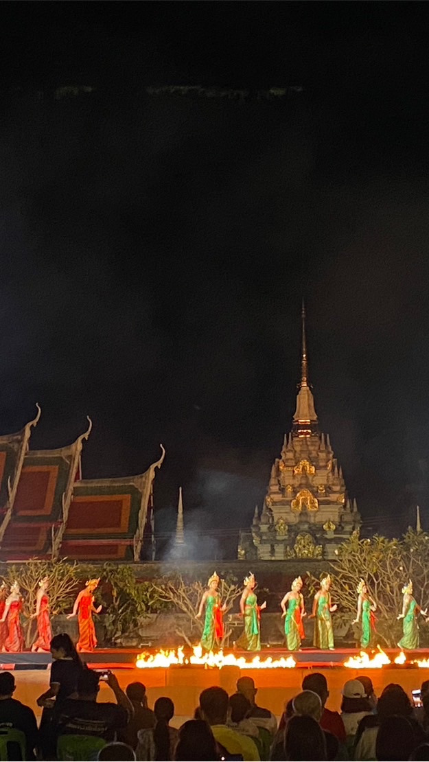 ส่งงานข่าวเปิดงานพระธาตุไชยา