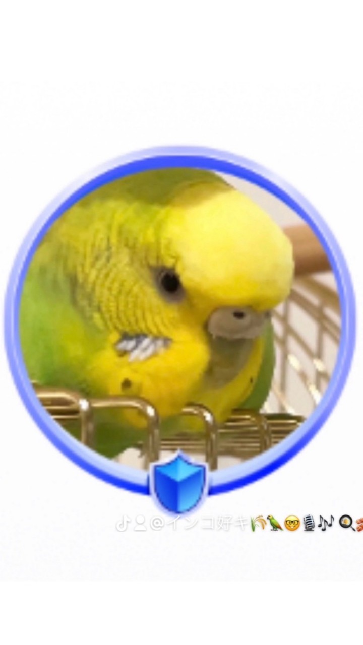 インコ好キ🪴🕊️