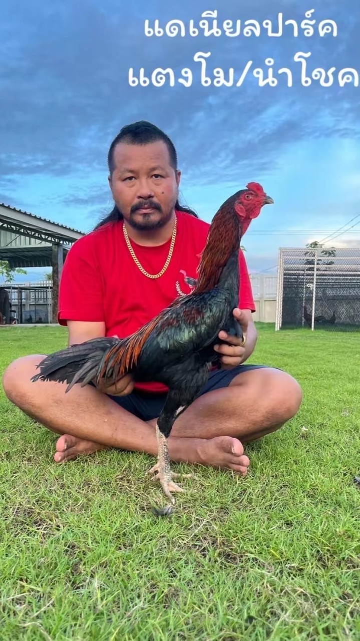KS FARM