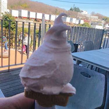 実際訪問したユーザーが直接撮影して投稿した滝山町アイスクリームミルクアイスMO-MOの写真