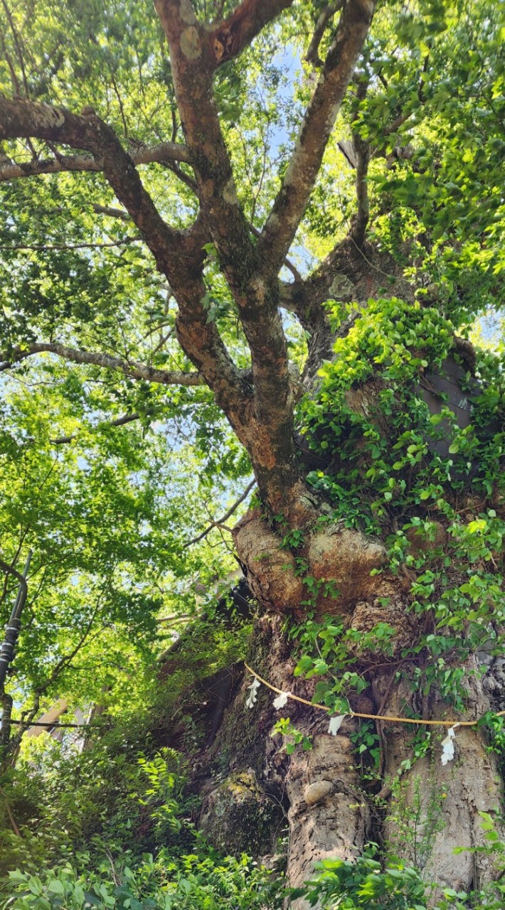 植物の会 in北海道/東北