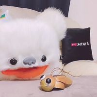 毛量多め💭🧚を支える会
