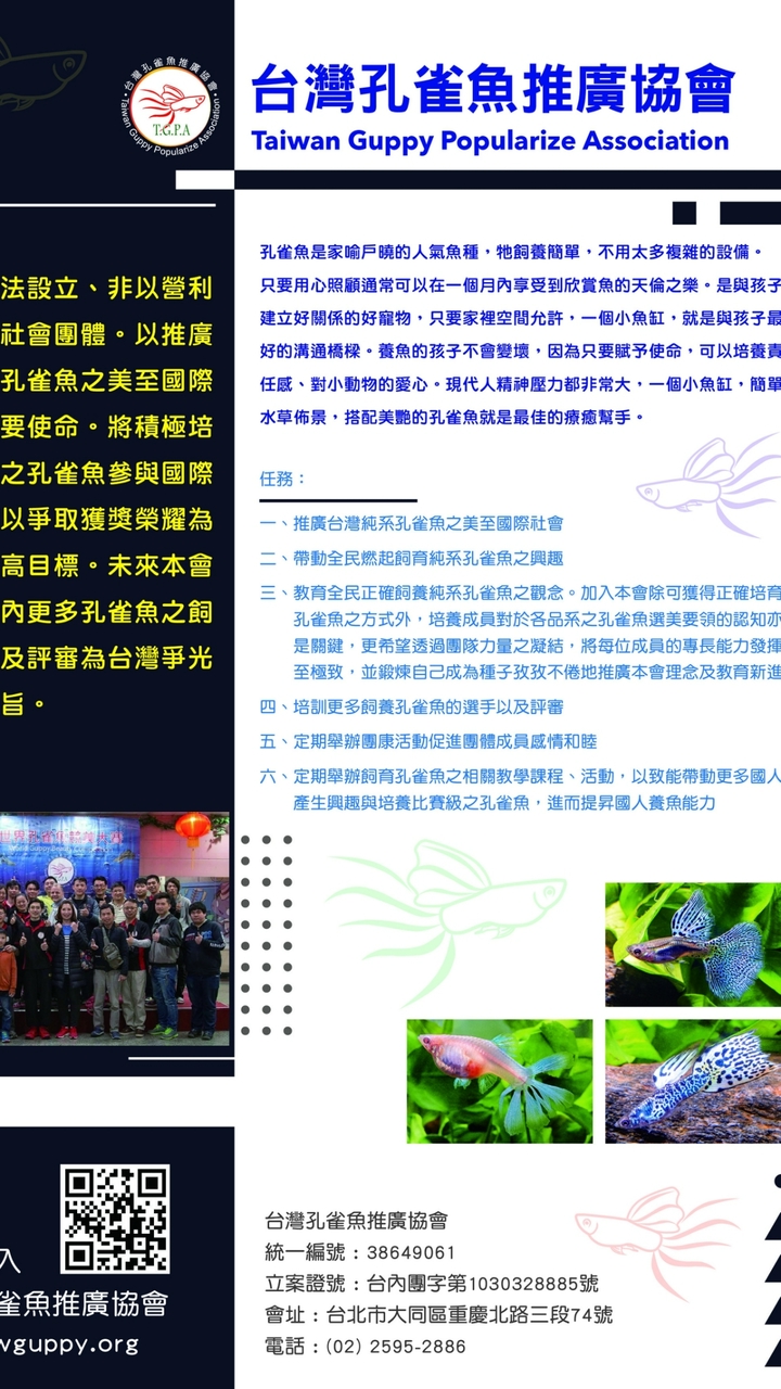 台灣孔雀魚標會｜Taiwan Guppy Auction Society By 台灣孔雀魚推廣協會
