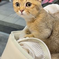 Luma日韓代購🇯🇵🇰🇷