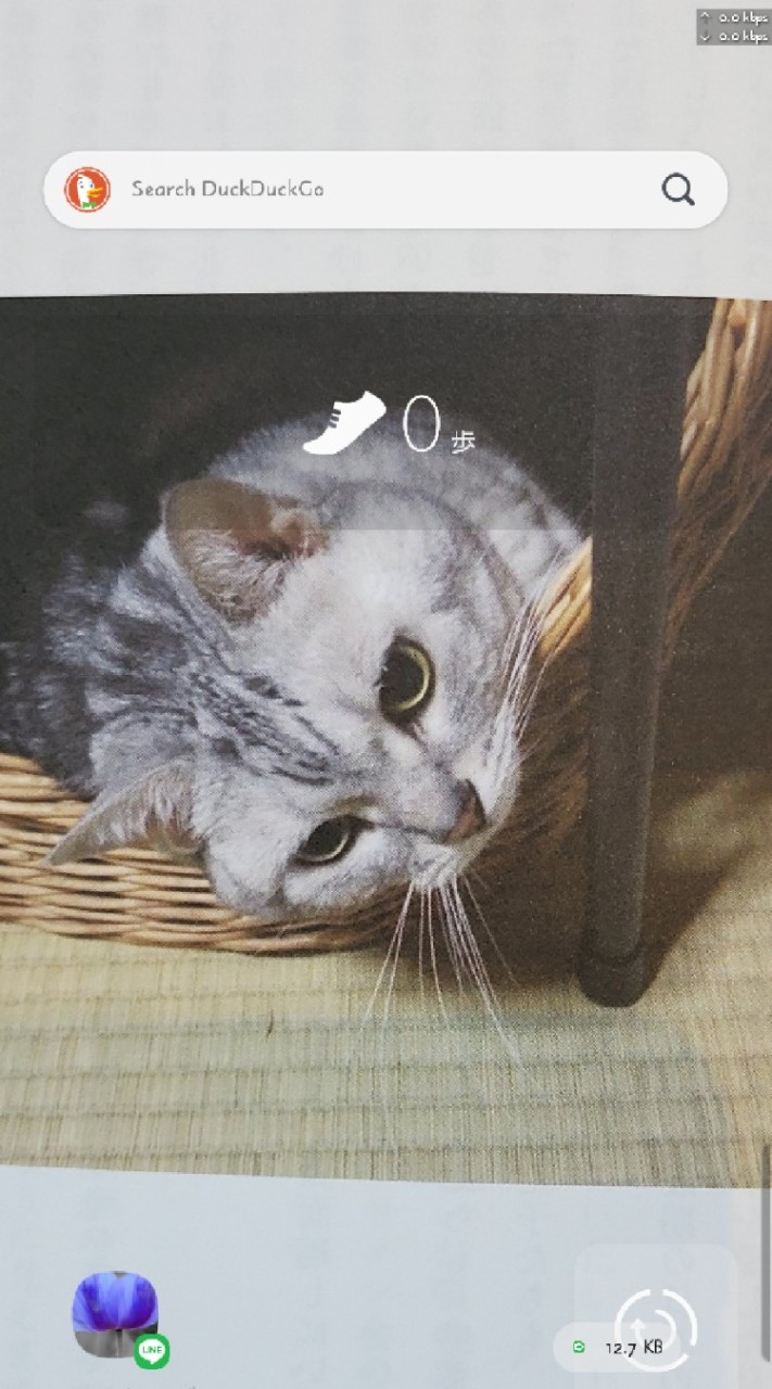 OpenChat Androidをシバく猫