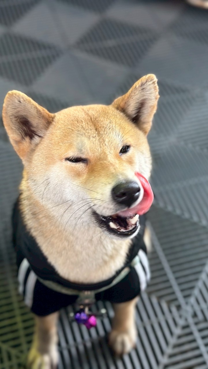 測試用社群
