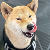 測試用社群