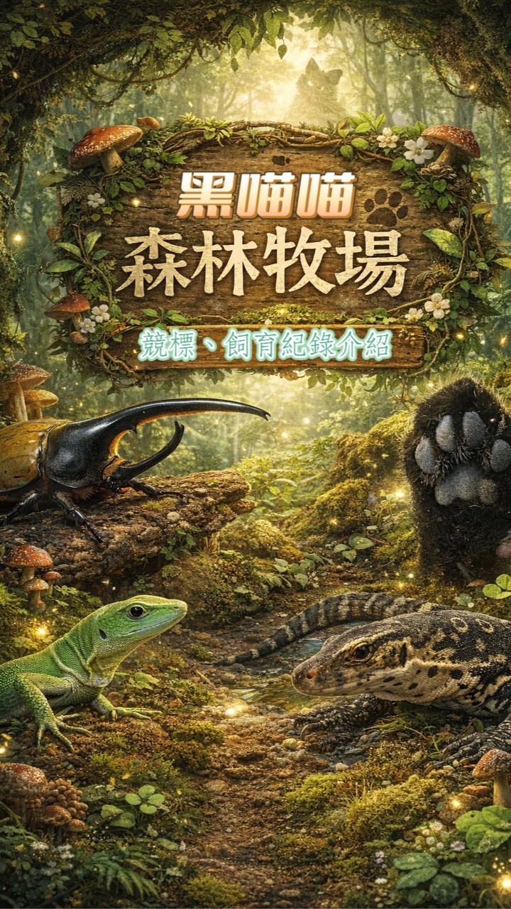 黑喵喵森林牧場