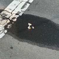 奏空と愉快な仲間たち