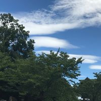 集結✿極悪