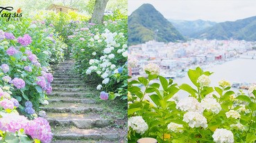 日本也有繡球魅力！360 °C欣賞300萬朵繡球花，壯觀花海絕對是打卡好地方〜