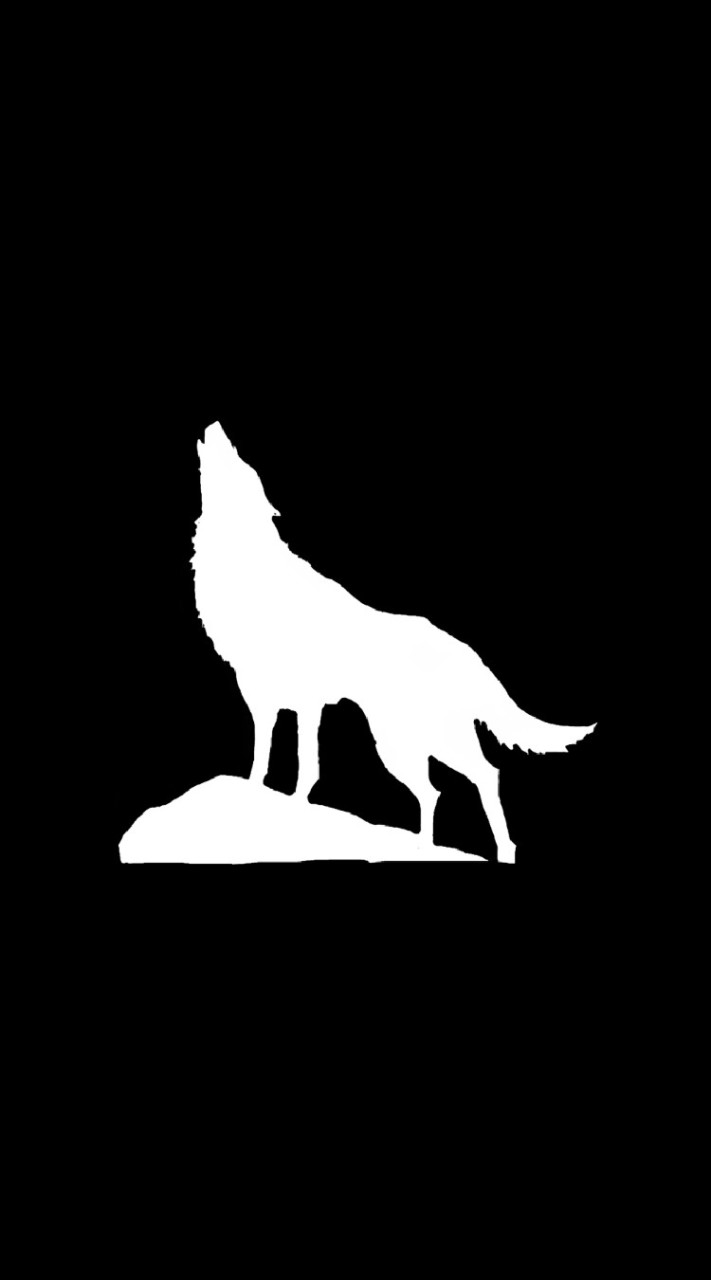 𝐋𝐨𝐧𝐞𝐰𝐨𝐥𝐟_𝐄𝐧𝐭𝐞𝐫𝐭𝐚𝐢𝐧𝐦𝐞𝐧𝐭 🐺