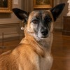 犬好き集まれ