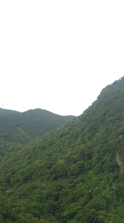 基隆河岸自行車休閒單車