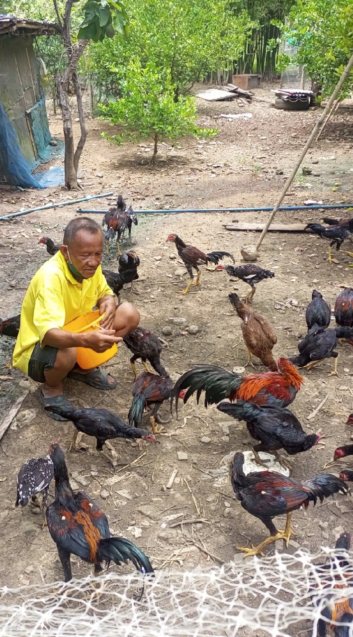 ส.เจริญสุข