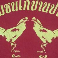 สนามชนไก่บ้านป่าแดง