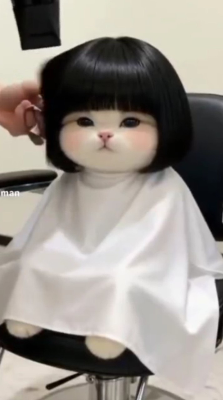 เพลงของโนวันเอลฟ์