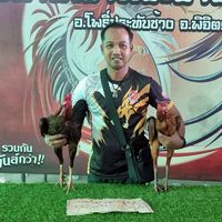 ต.เพชรวารีย์