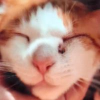 おもしれーメンバーの溜まり場