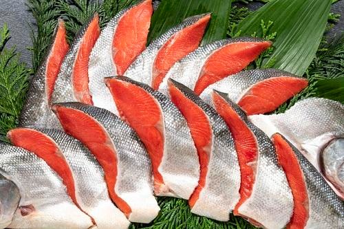 『紅鮭』は『銀鮭』と何が違う？めったに見かけない理由とは（オリーブオイルをひとまわしニュース）