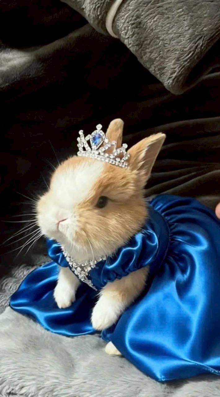 คลิปหน้าสัญญาVN1