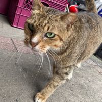 ⭐️百日竑富⭐️