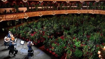 史無前例！巴塞隆納防疫期間舉辦音樂會，現場觀眾是 2292 棵植物盆栽座位爆滿！