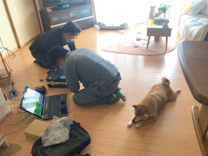 犬と一緒に寝ることをおすすめできない理由とは