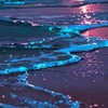 ✦⋆ ࣪. 過去に‘もし’なんて無いけれど . バイオハザード:緩なり !!