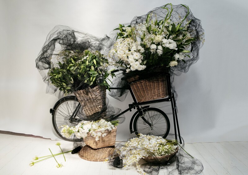 攝影師Tim Walker 以杜桑為靈感之創作