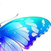 #🍹⃝🦋​ʷǤ🦋𝓟𝓮𝓪𝓬𝓮🦋#