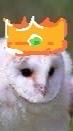 暇な人来て