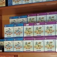 有夢最美養生社團