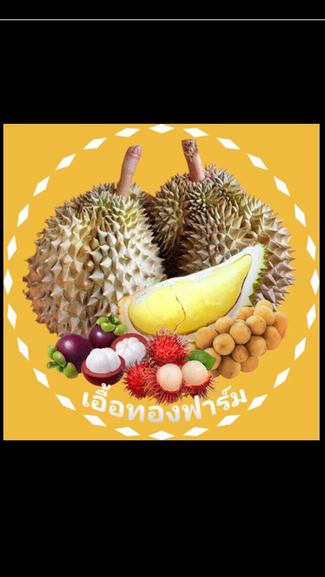 เอื้อทองฟาร์ม