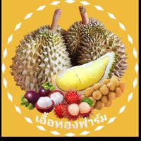 เอื้อทองฟาร์ม