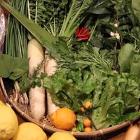 無人販売のお知らせ.｡.:*・.｡.:*・✽            菊川　御前崎