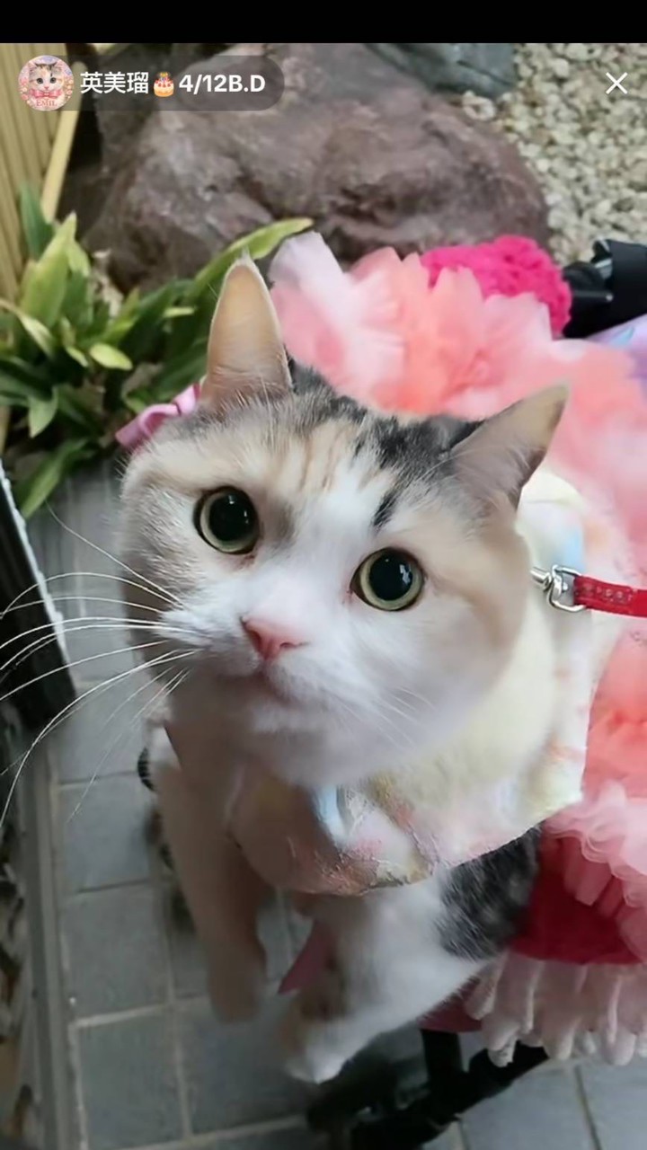 🎀英美瑠のお部屋🎀