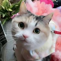 🎀英美瑠のお部屋🎀
