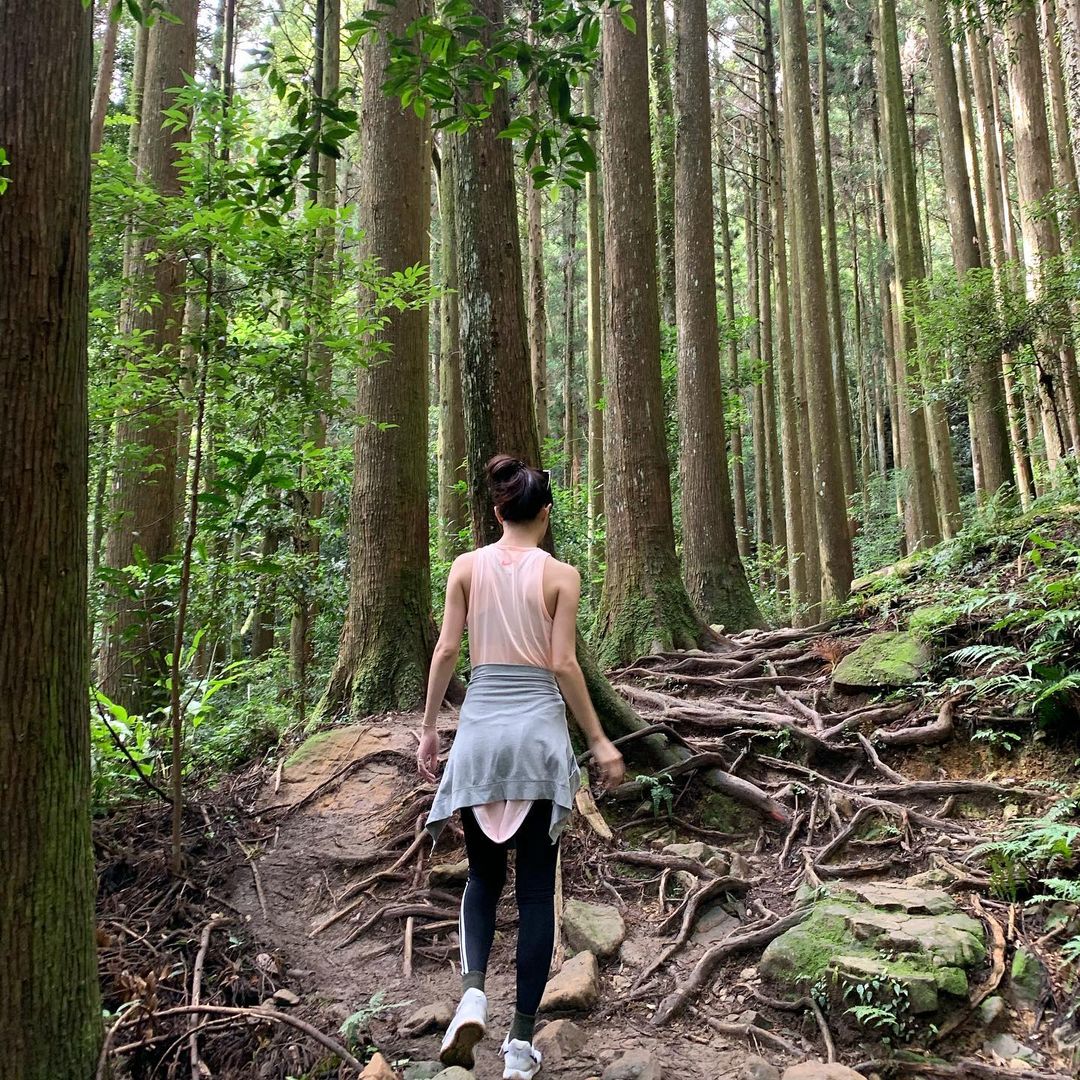 苗栗加里山步道環境